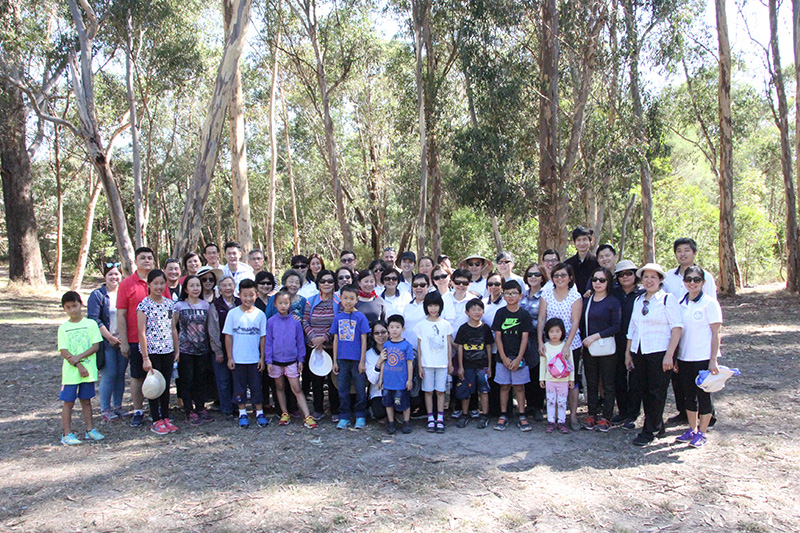 Friends of Warrien Reserve | AUSTRALIA (NATIONWIDE) I-KUAN TAO ...